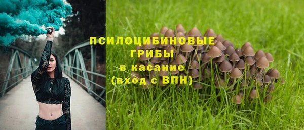 мдпв Алзамай