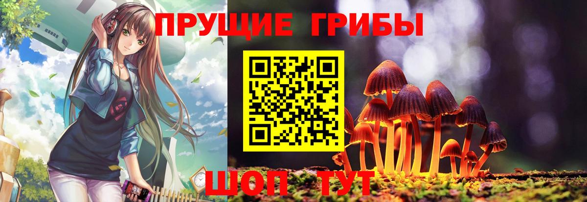 Галлюциногенные грибы GOLDEN TEACHER Донской