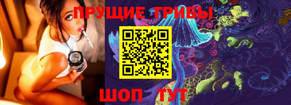 Донской  Псилоцибиновые грибы ЛСД  Псилоцибиновые грибы GOLDEN TEACHER  Вход с VPN 