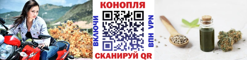Конопля гибрид  Донской 